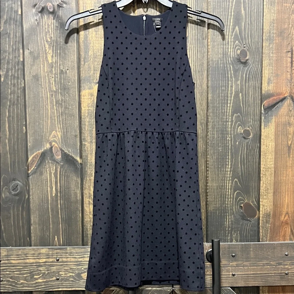 J. Crew Black Velvet Polka Dot Dress‎ S Ponte Preppy Dark Coquette Whimsigoth